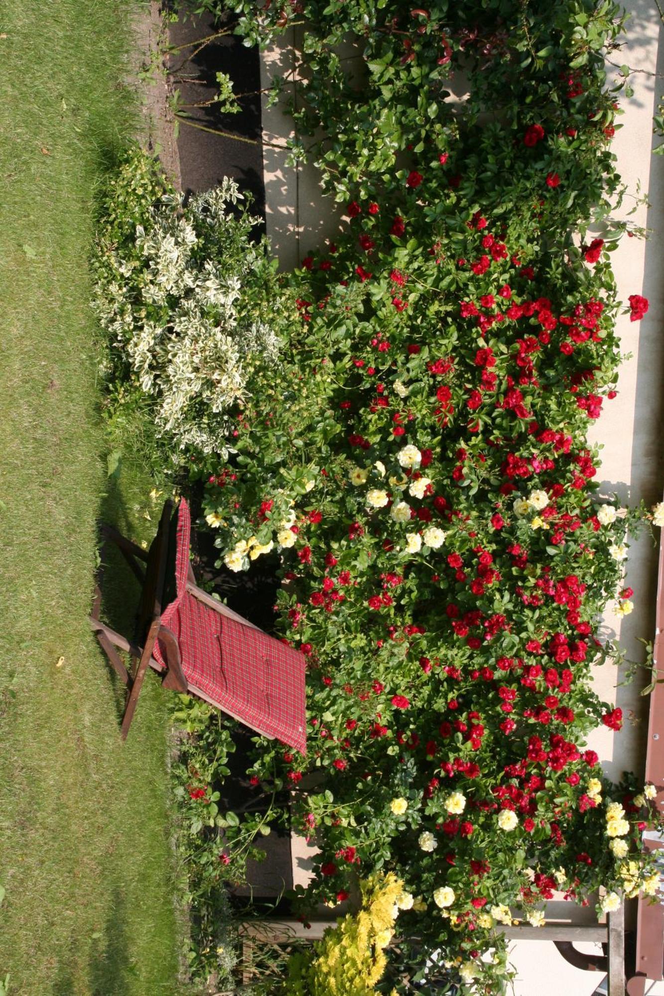 Pension Villa Beer Stralsund Exteriör bild